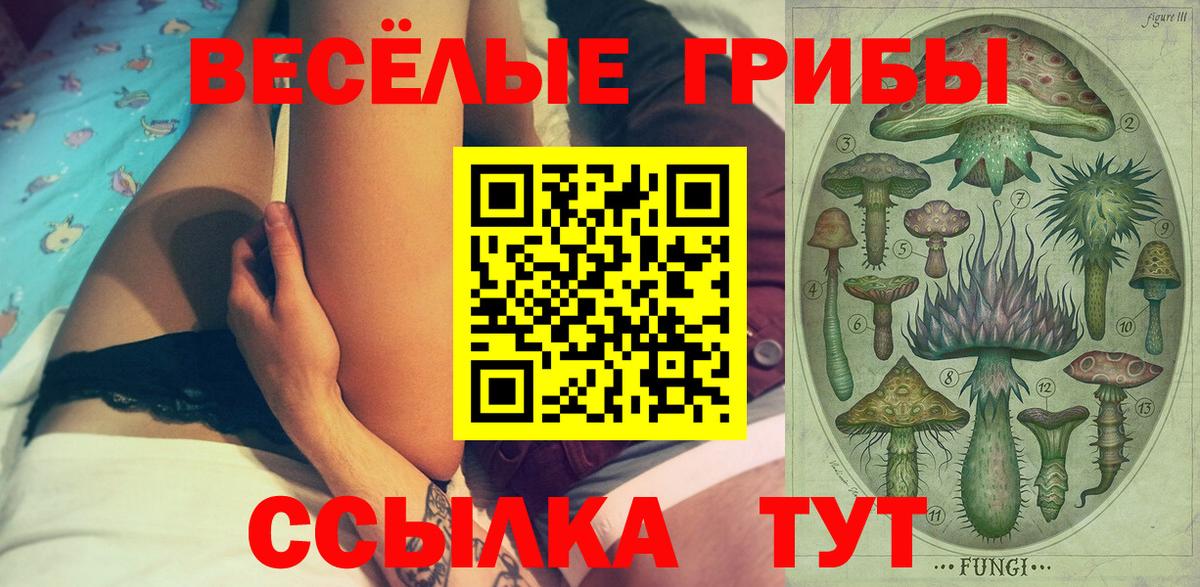 Озёрск  Псилоцибиновые грибы прущие грибы  Вход с VPN 